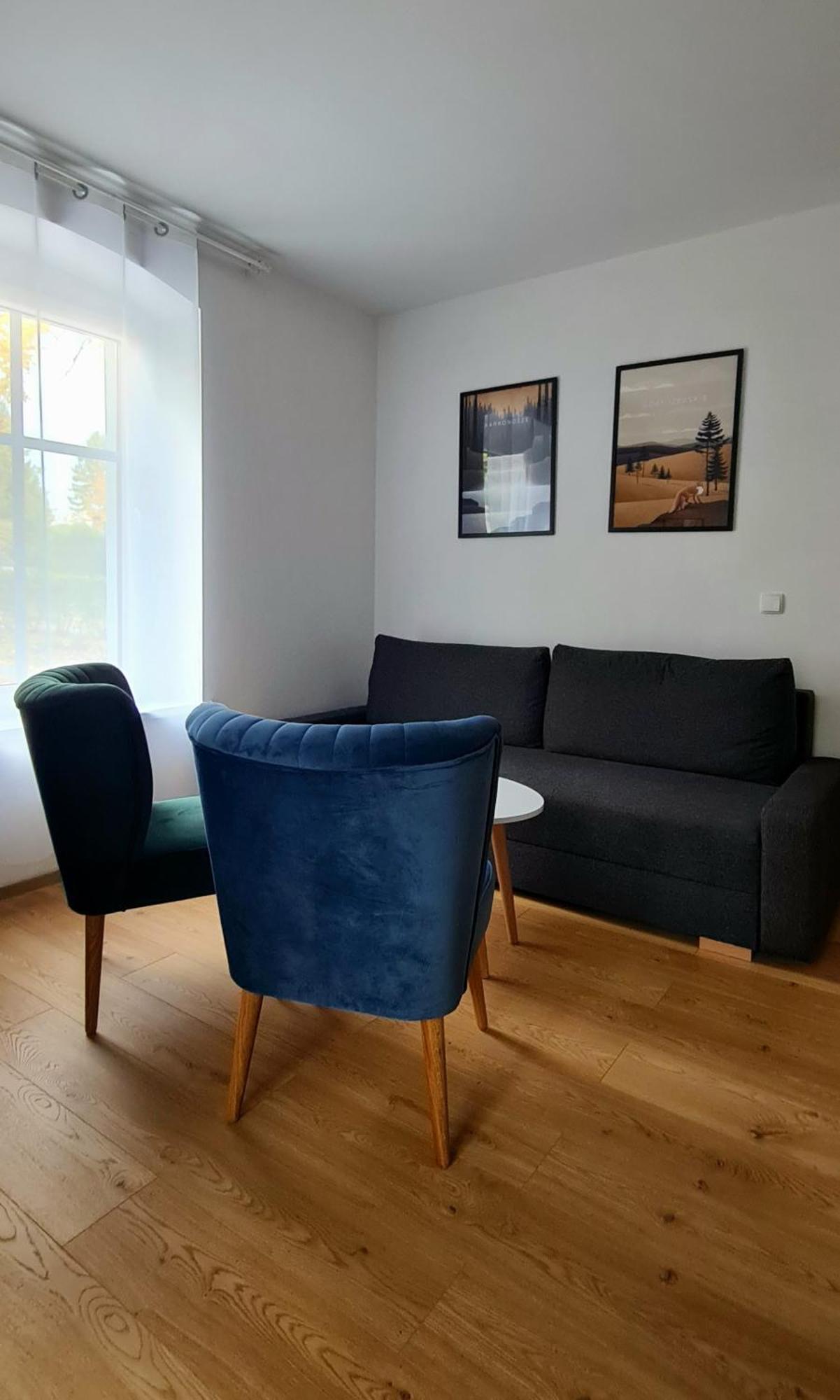 Apartamenty Debowa 3 Bad Altheide Exterior foto